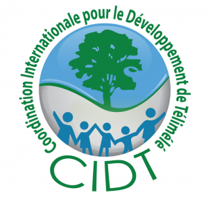 CIDT, Coordination internationale pour le développement de Télimélé