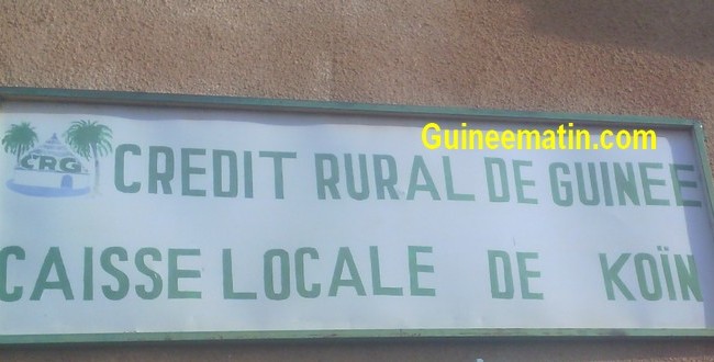 Crédit rural, Caisse locale de Koïn, Tougué
