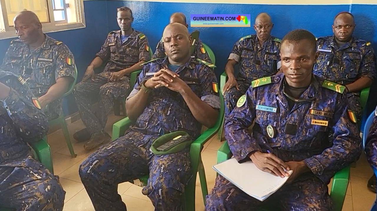 Mandiana : la gendarmerie réquisitionnée pour traquer les auteurs de la dégradation de l’environnement