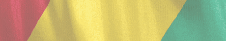 spot_img